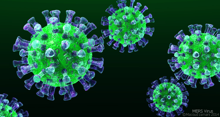 Statistics The Dead Cases by MERS in South Korea 2015 (Age, Gender, Basal diseases, Date of Death) 